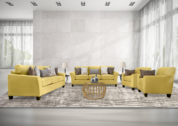 طقم كنب امريكي 2 صوفا + 2 كرسي - American Sofa Set 2 Sofas and 2 Chairs