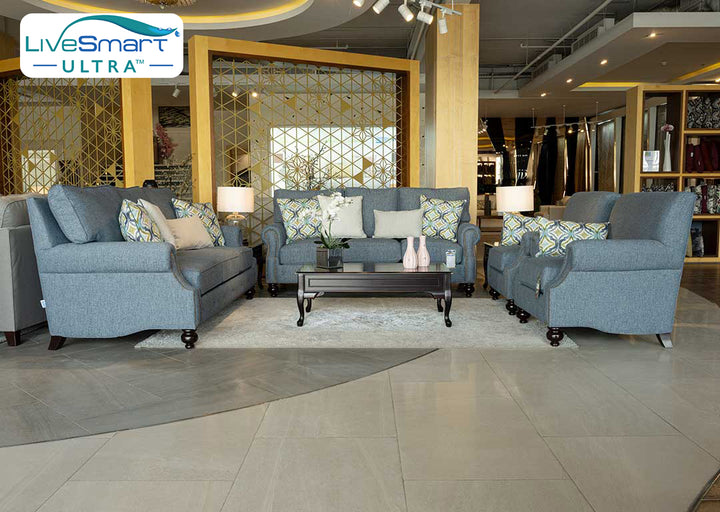 طقم كنب امريكي 2 صوفا + 2 كرسي - American Sofa Set 2 Sofas and 2 Chairs